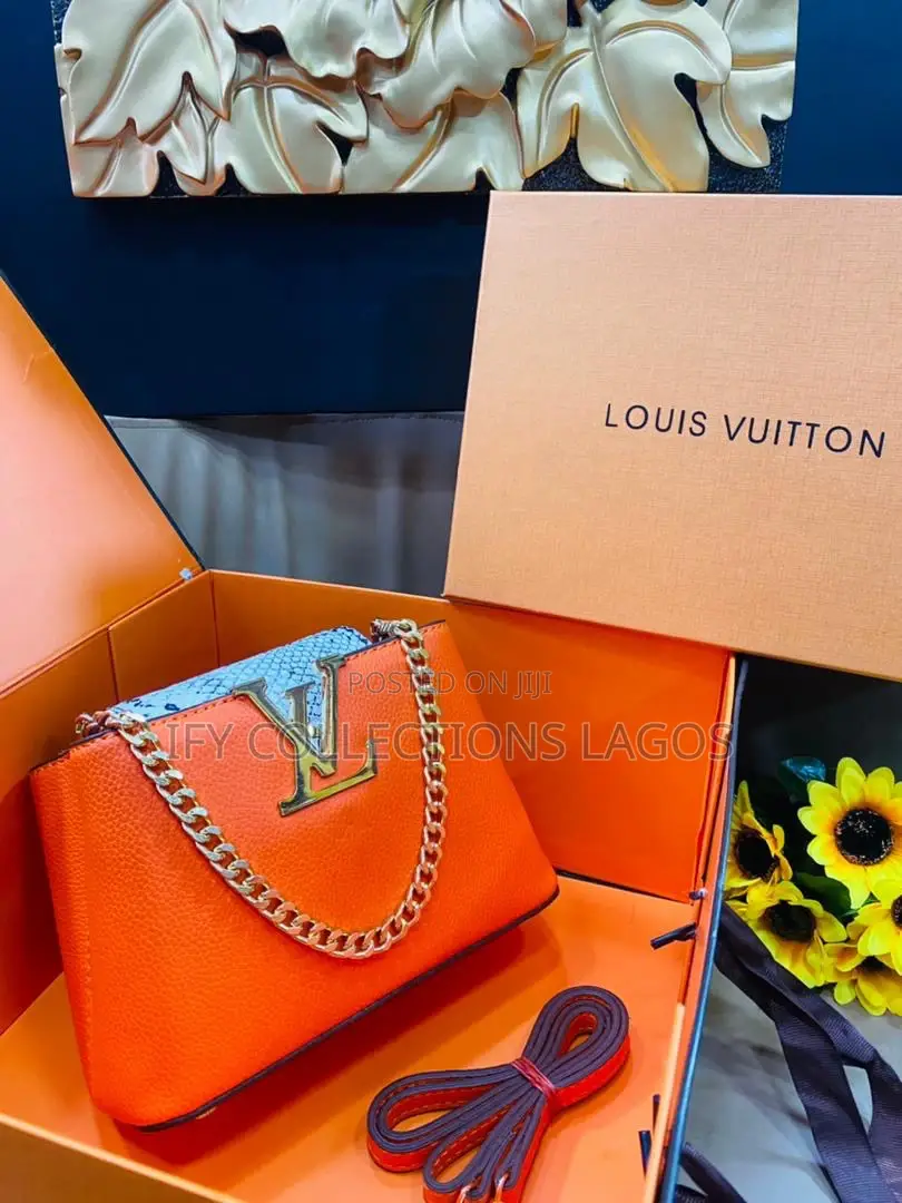 Luis Vuitton Handbags