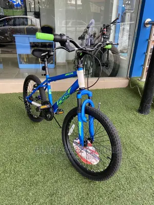 Bca 20" Crossfire Boy's Mountain Bike, Blue/Green