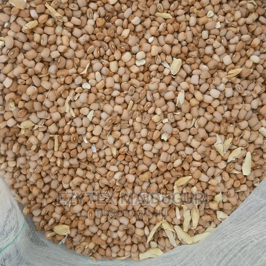 Drum Brown Beans Type Sweet