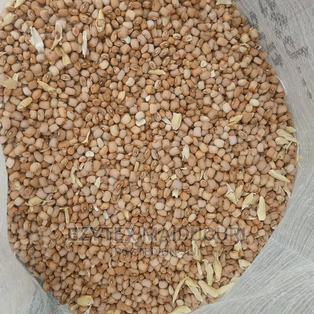 Drum Brown Beans Type Sweet