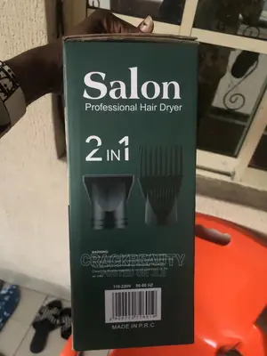 2 in 1 Professional Hand Held Hair Dryer