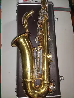 Professional 20M Alto Saxophone