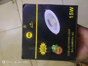 15W Cob Light