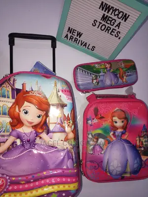 Quality (3 in 1) Trolley Bag for 2 to 4years