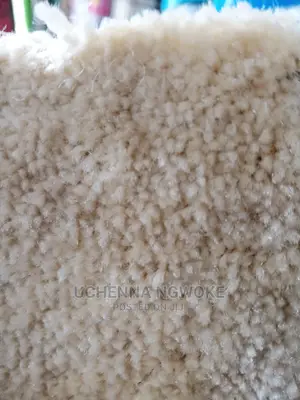 Presidential Vip Rug