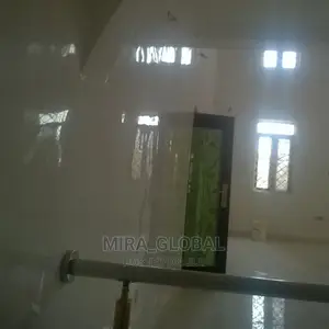 Stucco Paint and Screeding