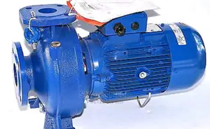 Lowara Stainless Impeller Cast Head Surface Water Pump
