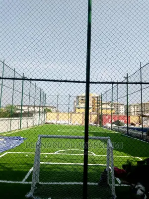 Artificial Grass/ Synthetic Grass/ Astroturf
