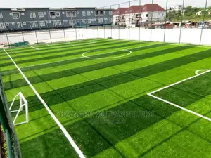 Artificial Grass/ Synthetic Grass/ Astroturf