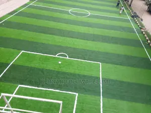 Artificial Grass/ Synthetic Grass/ Astroturf