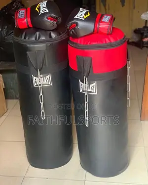 Punching Bag With Gloves
