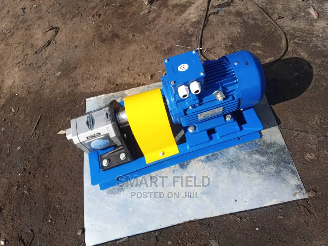 Stainless Steel Gear Transfer Pump