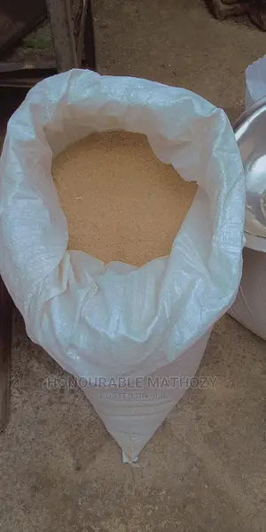 Snail Feeds