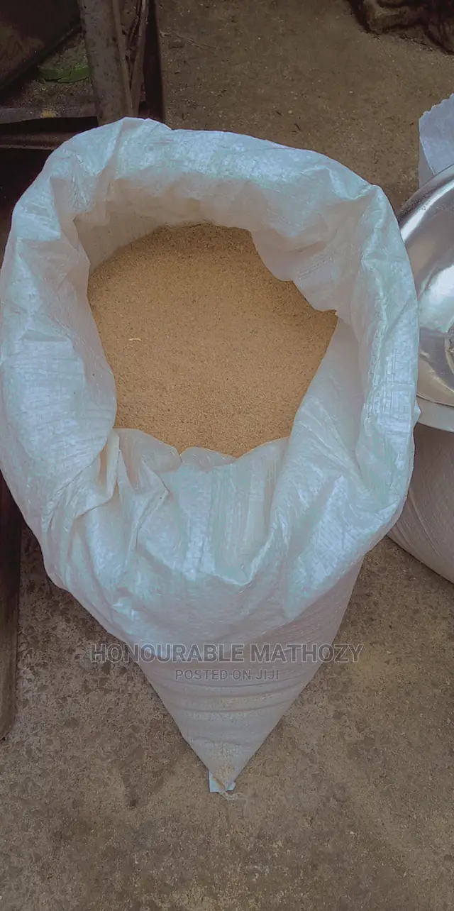 Snail Feeds