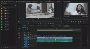 Film/Videos Editor