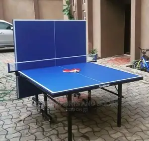 Blue and Red Foldable Outdoor Table Tennis Board
