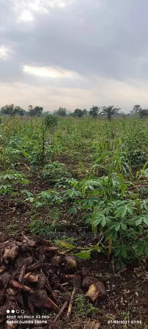 Farm Land Wey Cheap