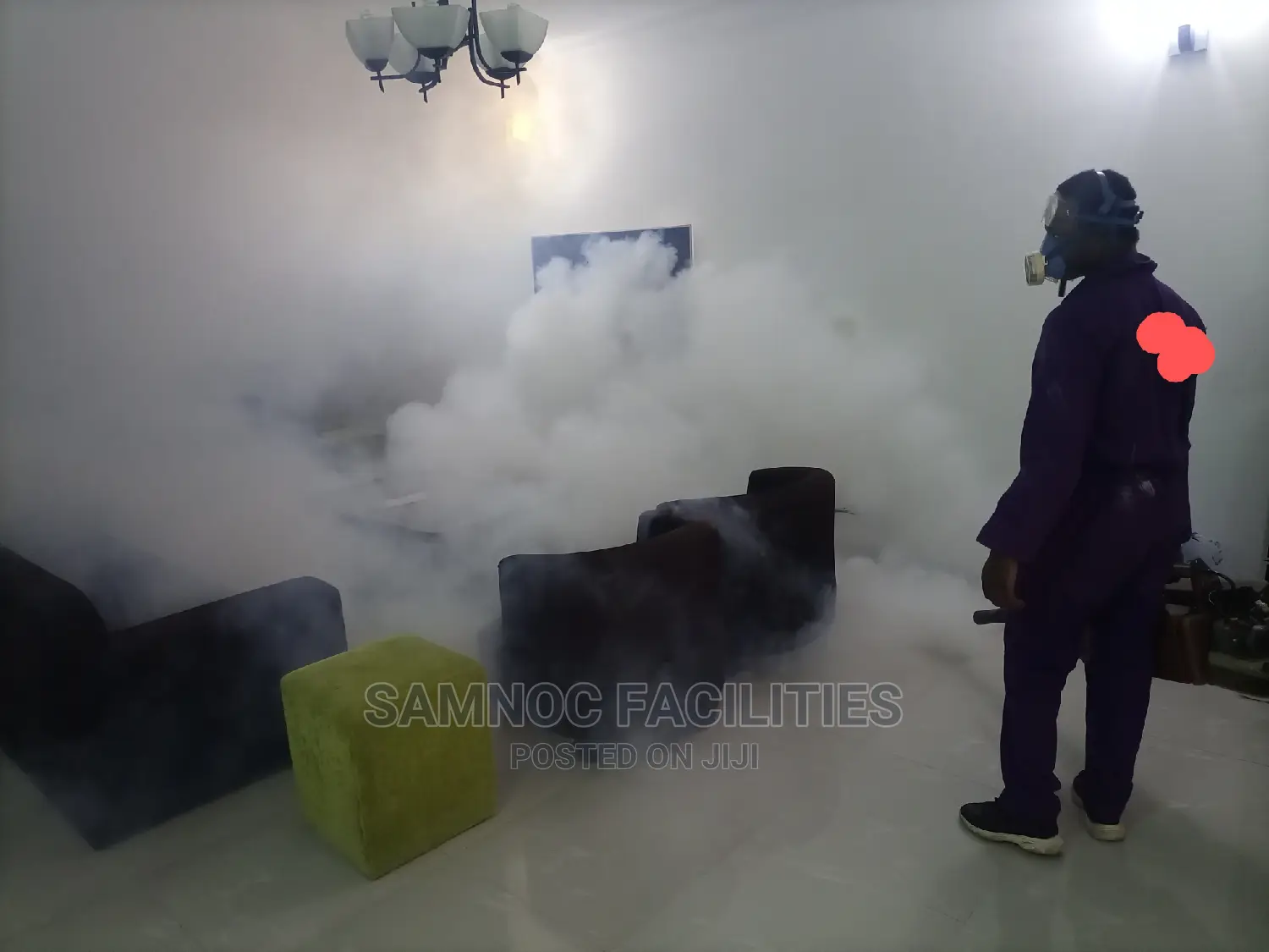 Pest Off, Fumigation