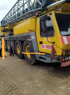 250 Tons Mobile Crane