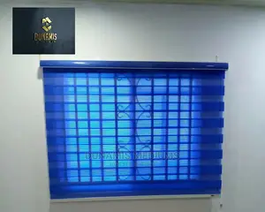 Window Blinds