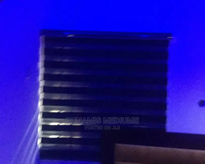 Window Blinds