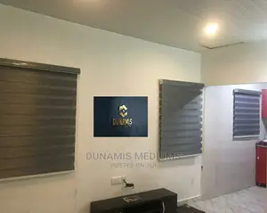 Window Blinds