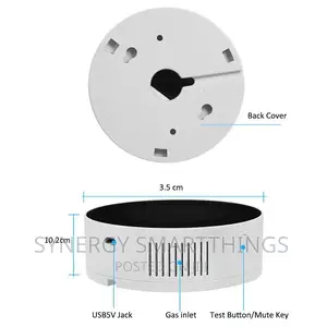 Smart Gas Leak Detector
