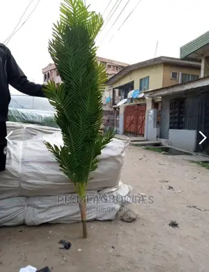 Artificial Palm for Pots