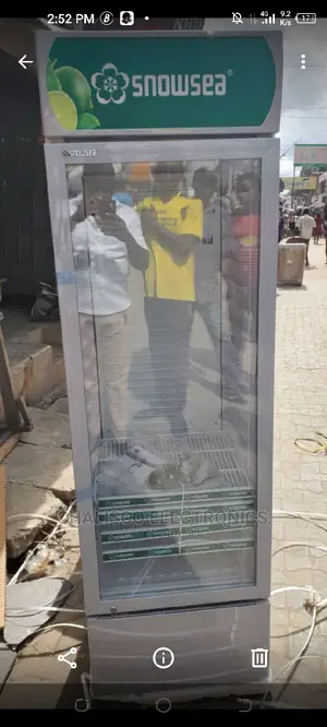 Snowsea Upright Freezer 500