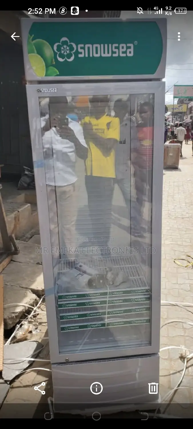 Snowsea Upright Freezer 500