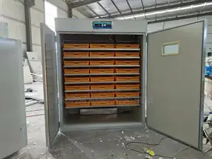 5280 Eggs Capacity Incubator