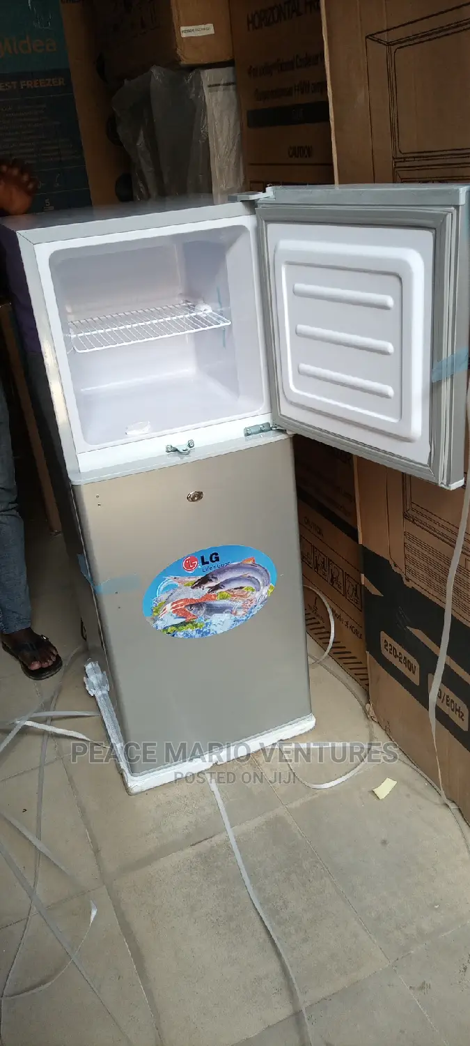 Lg Refrigerator With Two Double Doors, External Condenser