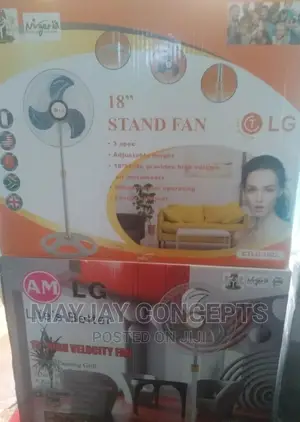 LG Standing Fan