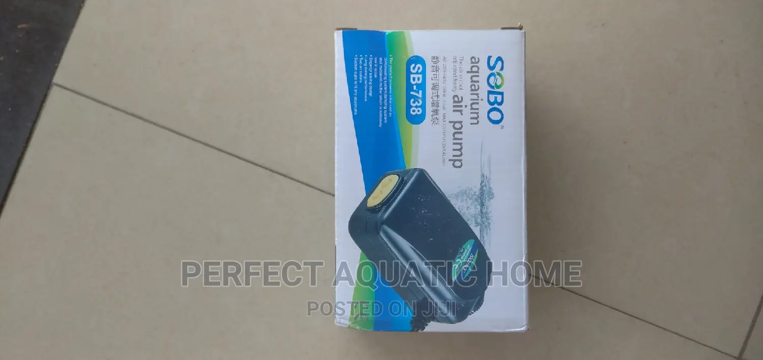 Oxgyen Pump 2outlet