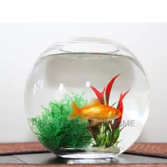 Fish Bowl Kit