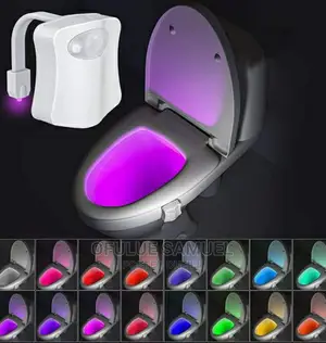 Toilet Light