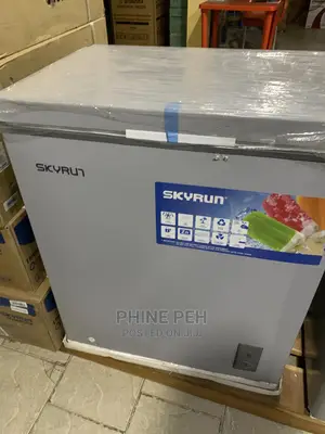 Skyrun 145-Litres Chest Freezer BD-145A Grey