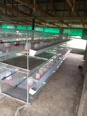 Broilers Cage