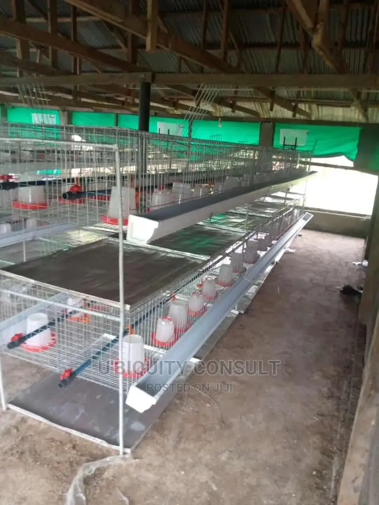 Broilers Cage