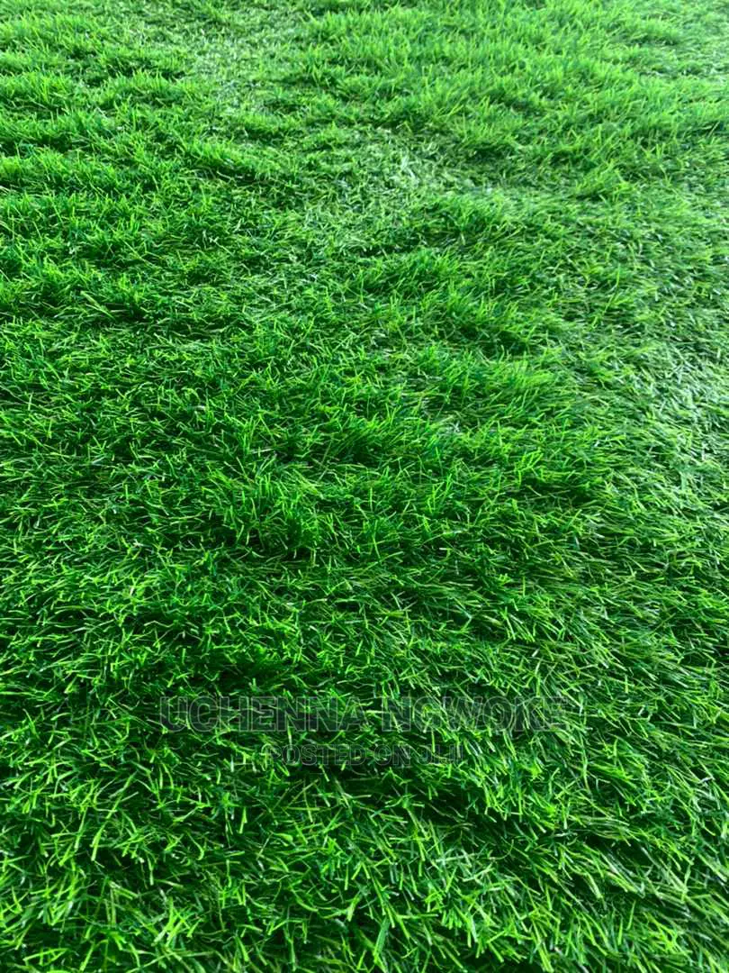 Astro Turf