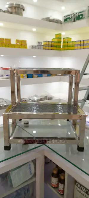 Stainless Steel 2 Step Stool
