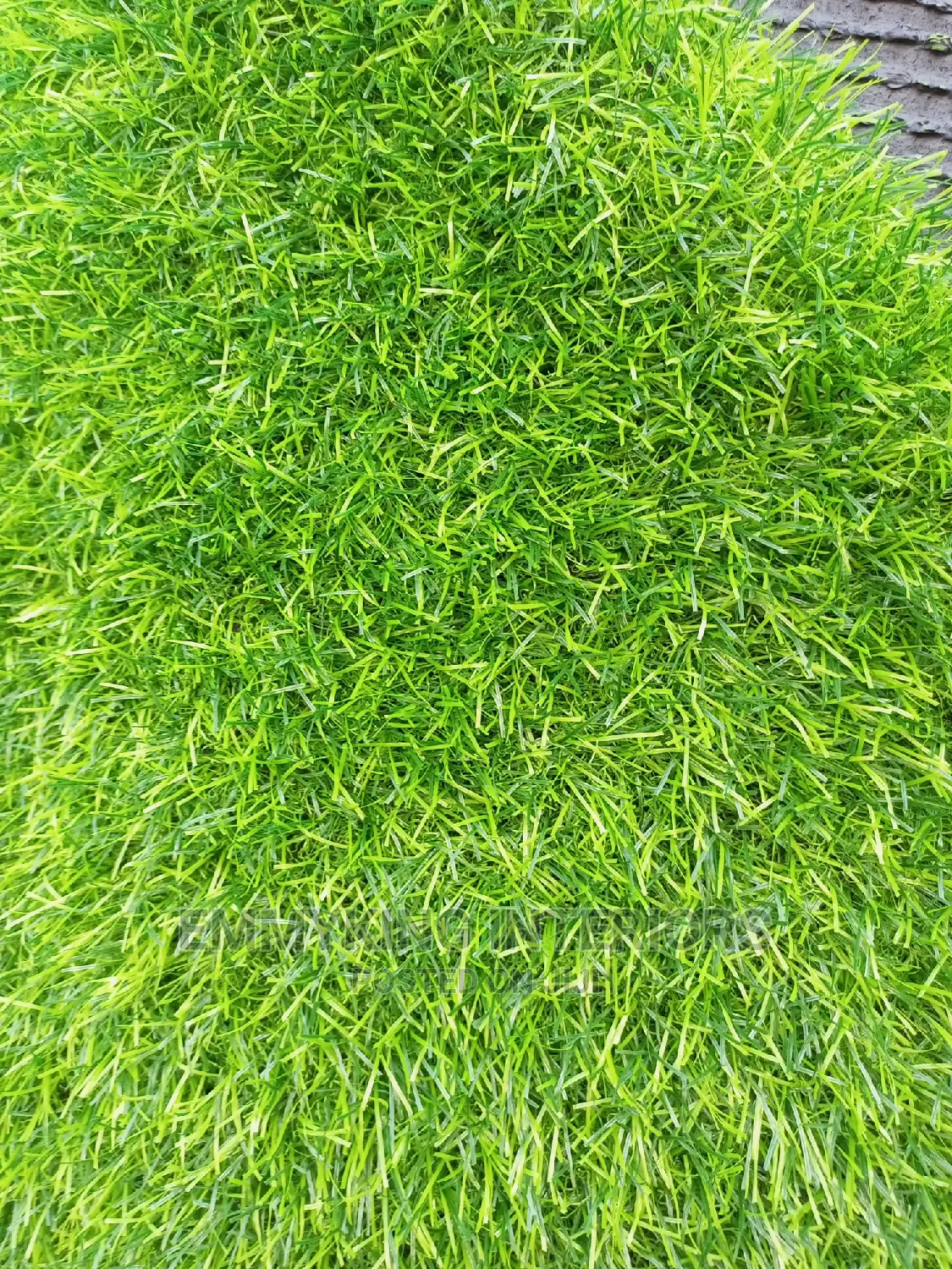 Fire Prevention and Water Seepage Grass