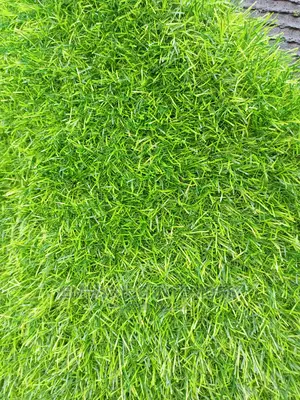 Fire Prevention and Water Seepage Grass