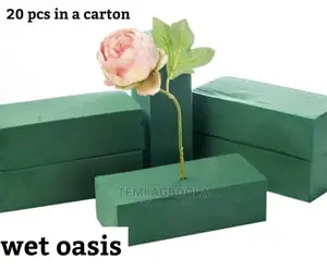 Wet Oasis (20pcs)
