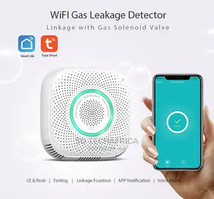 WIFI Combustible Gas Detector