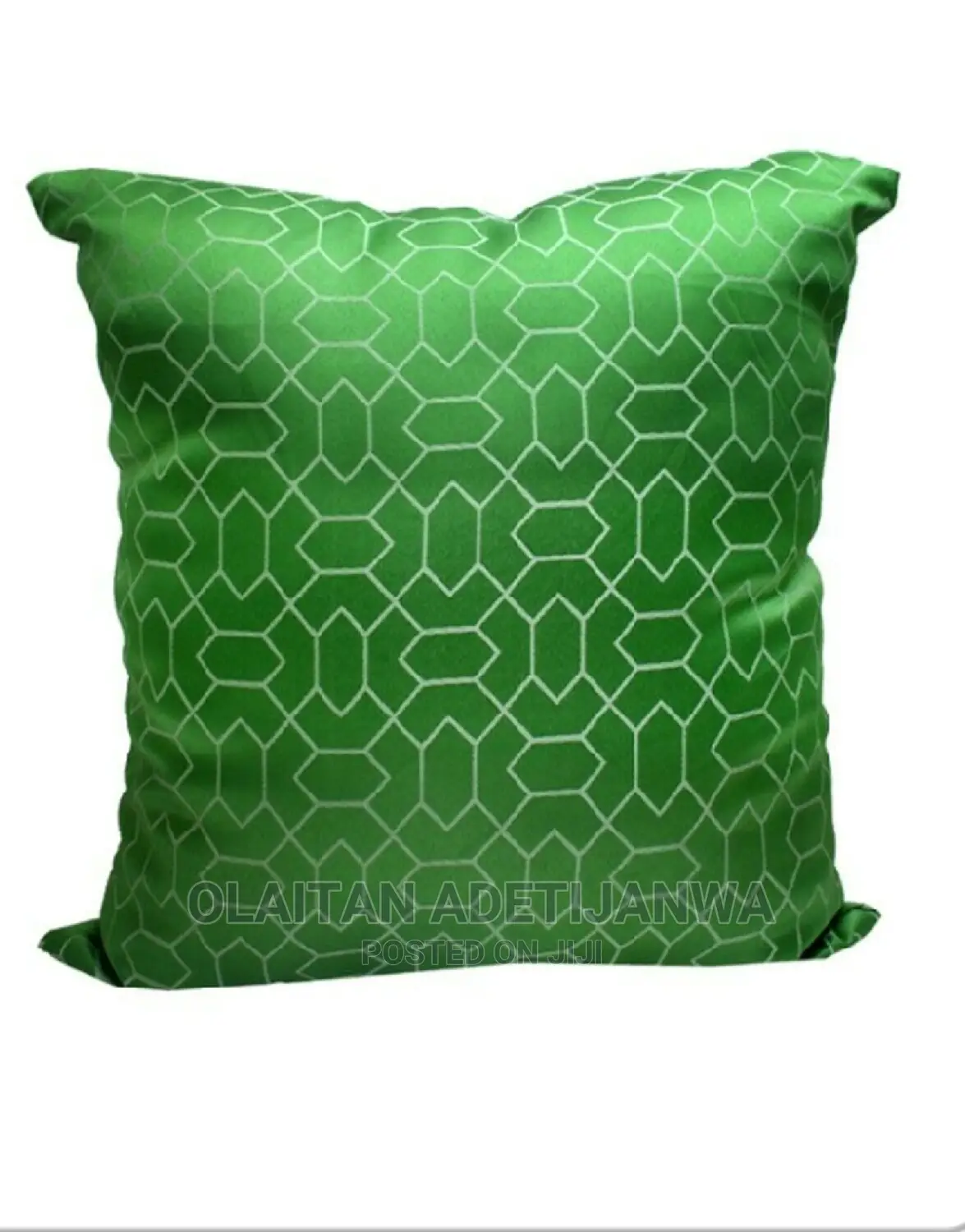 Fine Throw Pillow