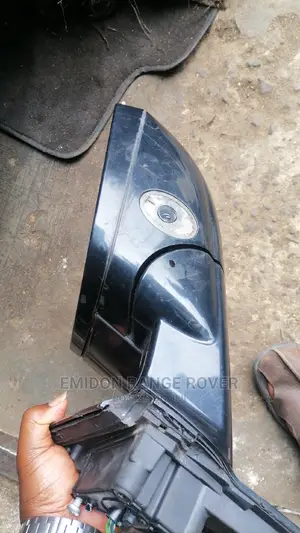 RANGE ROVER Evoque Side Mirror