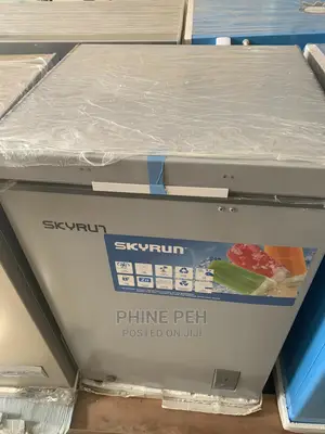 Skyrun 100litres Chest Freezer Bd-100a Grey