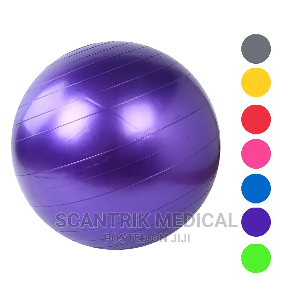 Therapy Balls