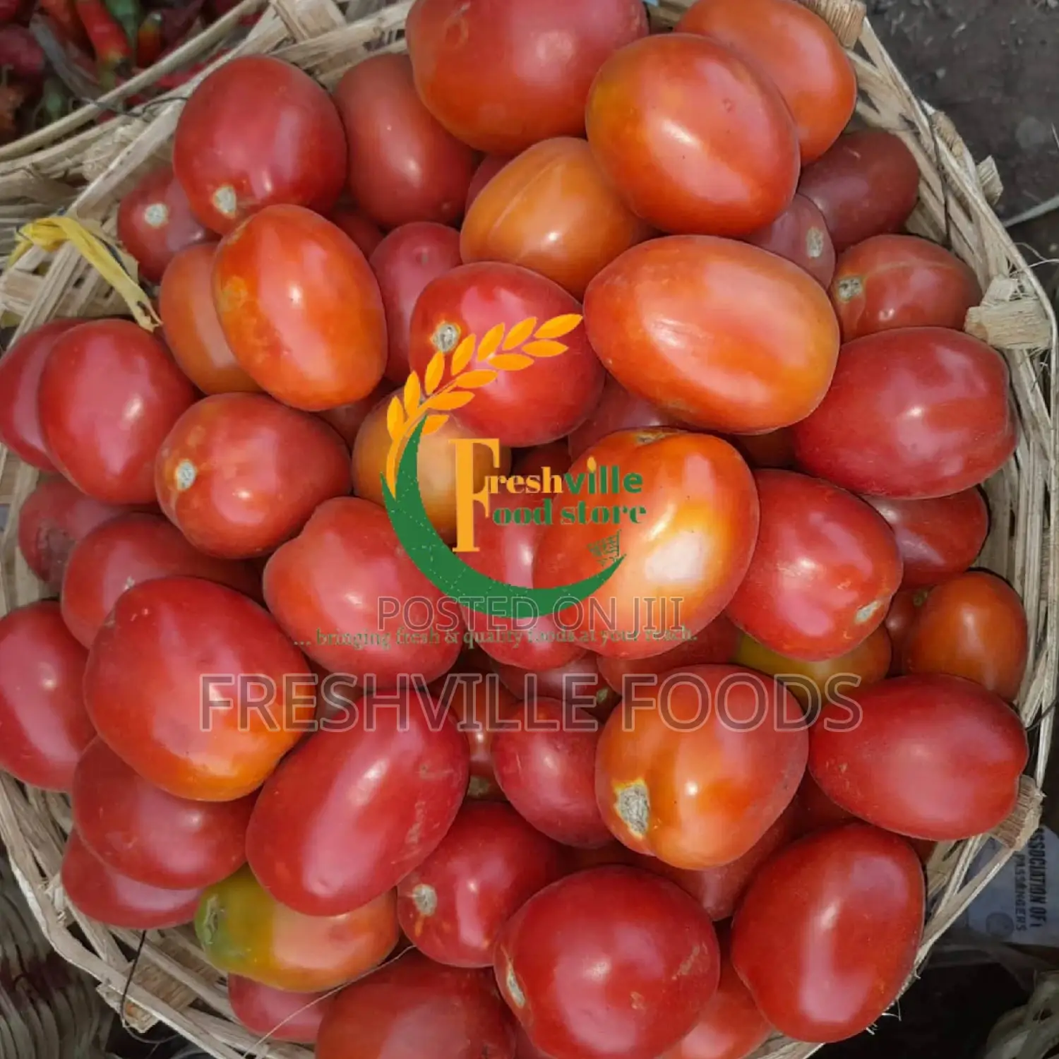 Utc Tomatoes